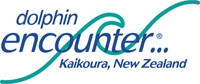 <strong>Dolphin Encounter</strong>